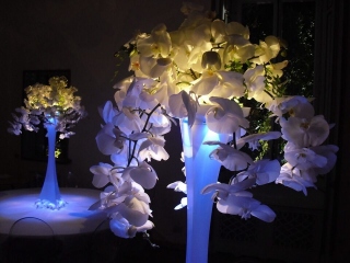 Image55 Arreglos Florales Personalizados - Arte, Tierra y Jardín